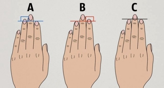 Do You Know What Finger Length Reveals About Your Personality ?